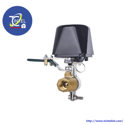 Smart Gas Water Value